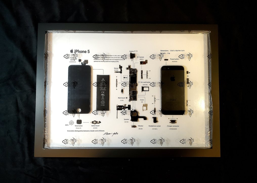 Apple Deconstructed iPhone 5 Art Frame - iPhone #1.0