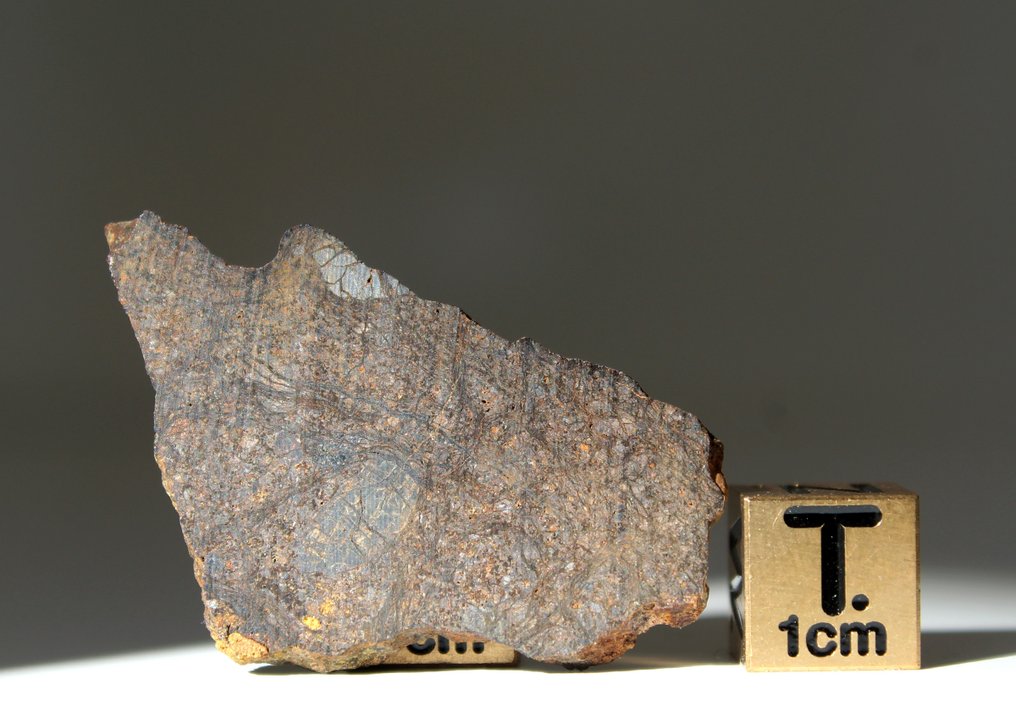 Nice SLICE fra mesosiderit NWA 14036 Jernstenmeteorit - 4.9 g - (1) #2.1