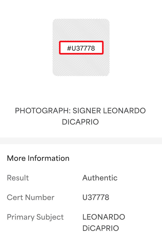 The Wolf of Wall Street - Leonardo Di Caprio - Signed in Person - with PSA/DNA Certificate - Autograph, photo - No Reserve! #3.2