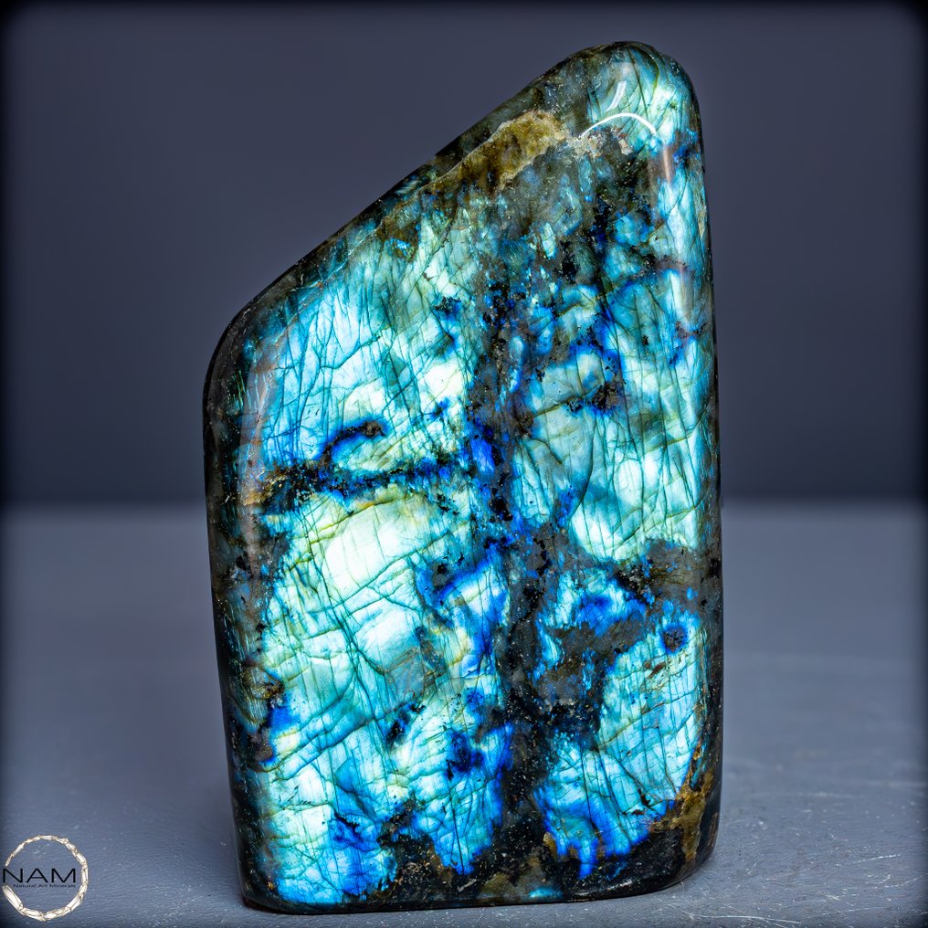 Labradorite naturale a forma libera con intenso fuoco blu- 1945.81 g #4.3