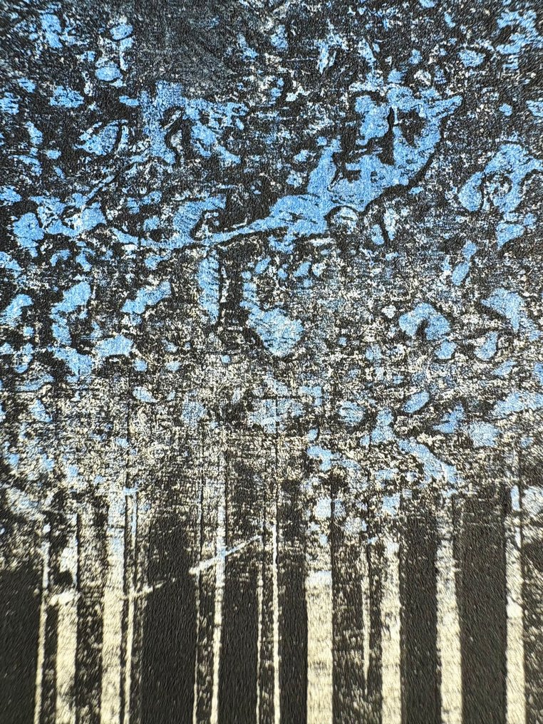 MOON LIGHIT Sugi - Yoshikazu Tanaka - 日本 (沒有保留價) #3.2