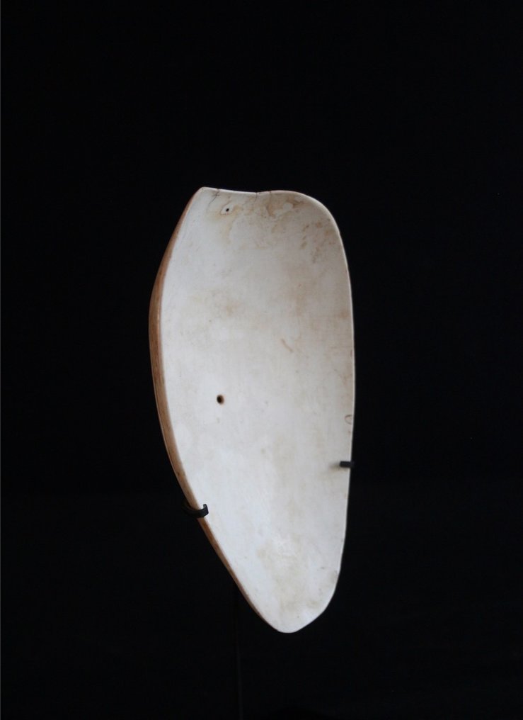 胸饰- Melo Melo - Boiken - 普林斯-亚历山大山脉 - 巴布亚新几内亚  (没有保留价) #1.0