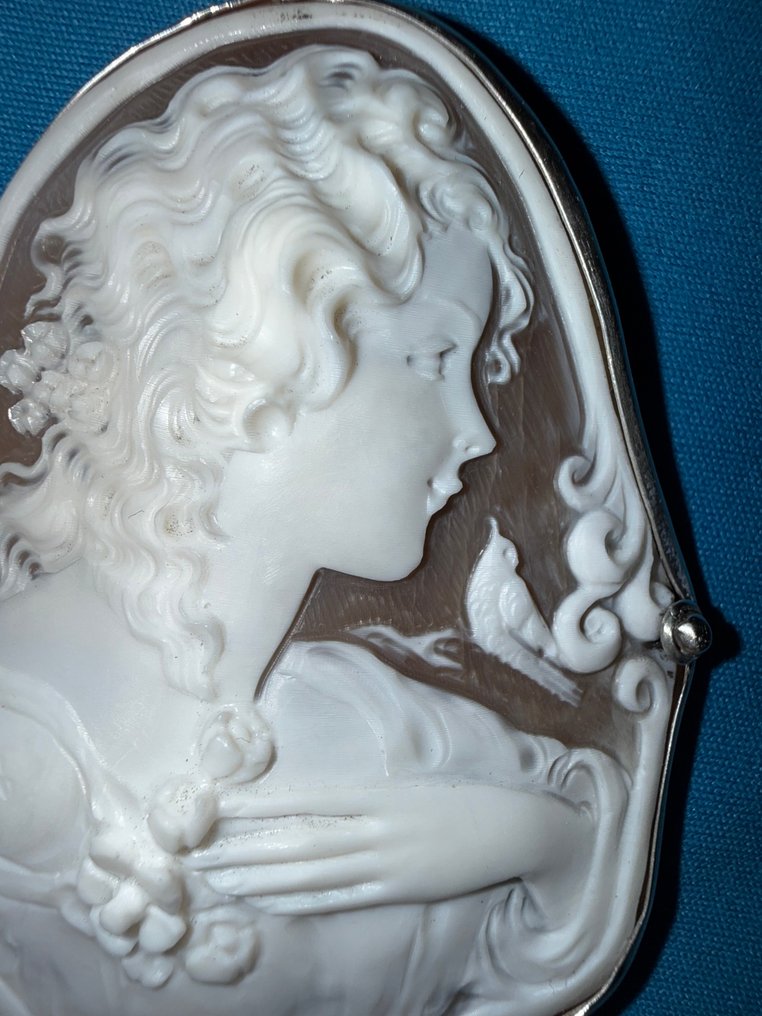 Ei pohjahintaa - Kameekoru Hopea - Sardonyx Shell. 60 mm. #3.2