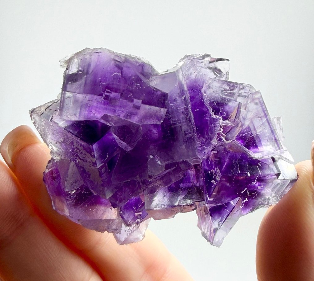 Wonderful Purple FLUORITE Cluster from Berbes, Asturias in Spain Crystal cluster - Height: 5.5 cm - Width: 4.1 cm- 54 g #1.0