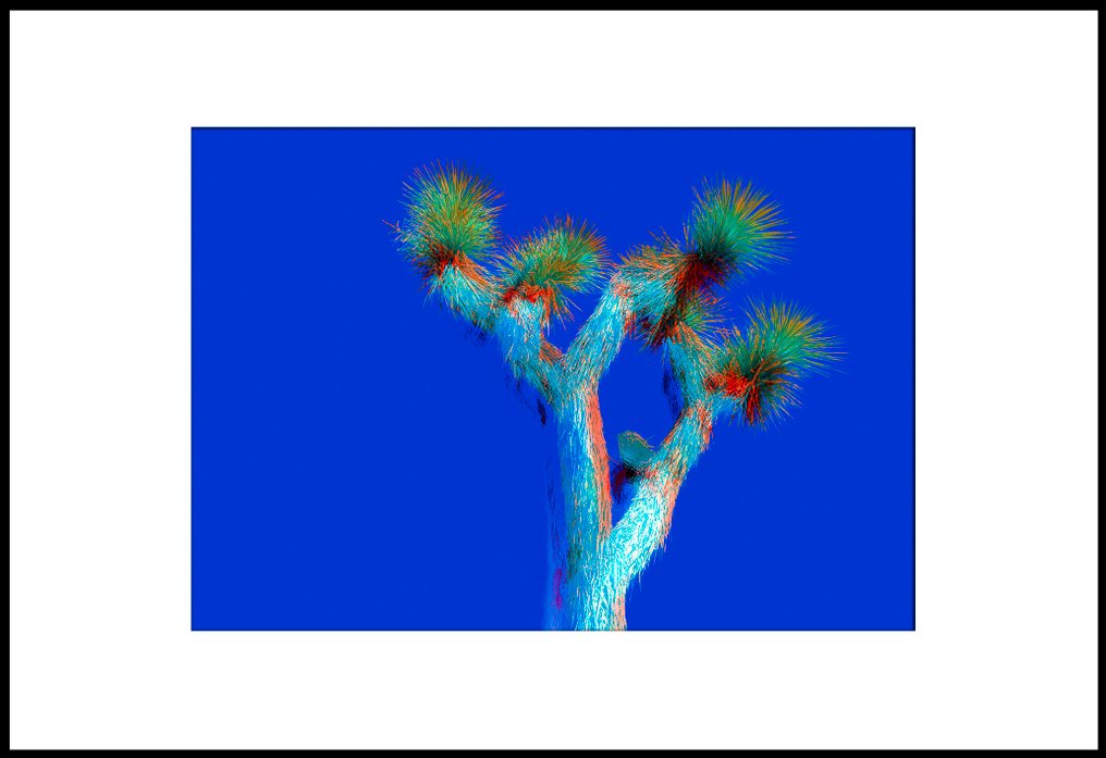 Roberto Cavalli - Visioni americane / #832 #3.2