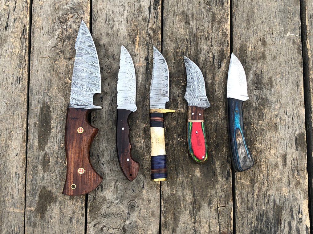 廚刀 - 享有盛誉的手工Skinners刀，多层锻钢，鹿角，木材及稀有手柄 - 北美 - 皮套 TD55 #1.0