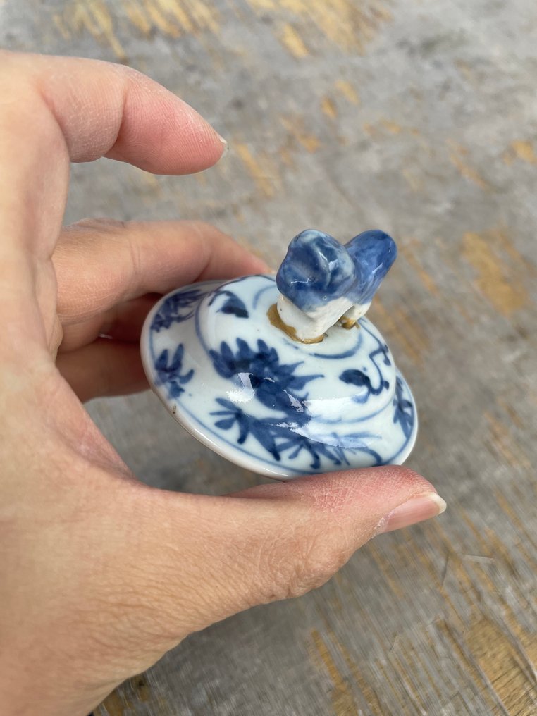 花瓶 - 瓷 - 中国 - Guangxu (1875-1908)  (没有保留价) #2.1