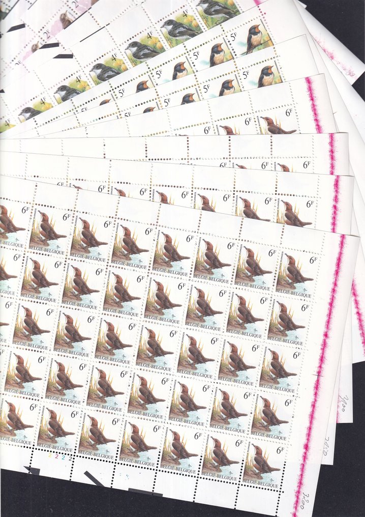 Bélgica - Grande lote de folhas completas com pássaros de Buzin, muitos com listras raras de rakel (fim do #1.0