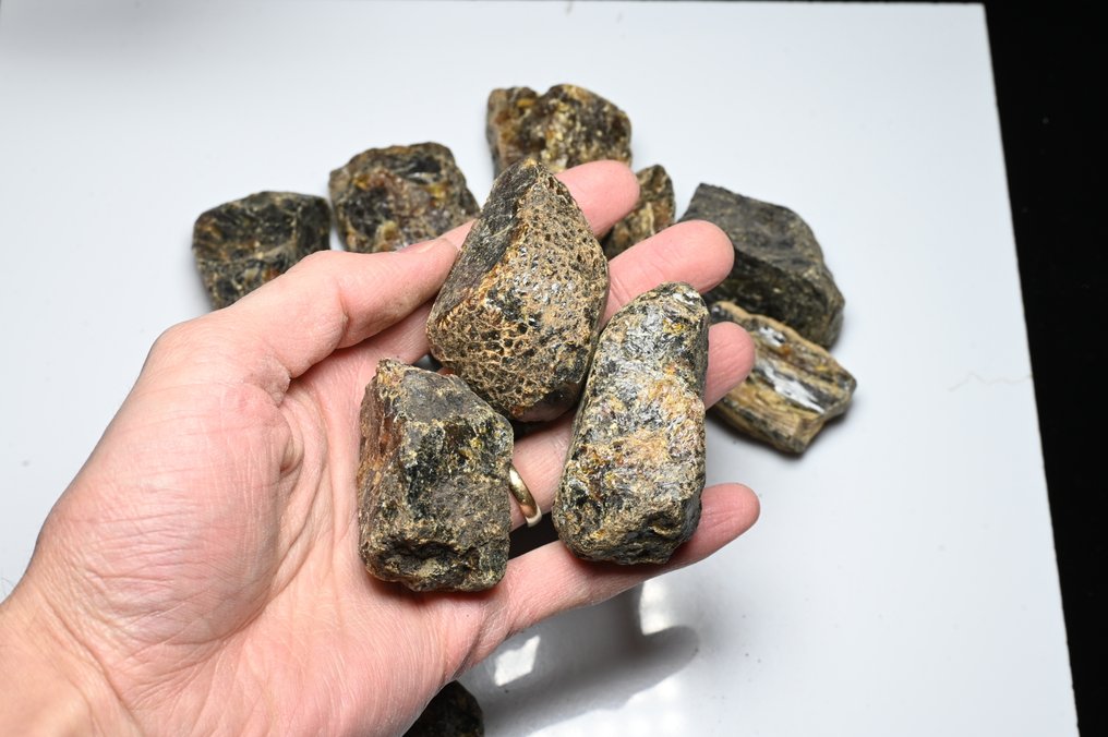 大量20块印尼（苏门答腊）粗琥珀，重474.79克 - 圓形寶石化石  (沒有保留價) #2.1