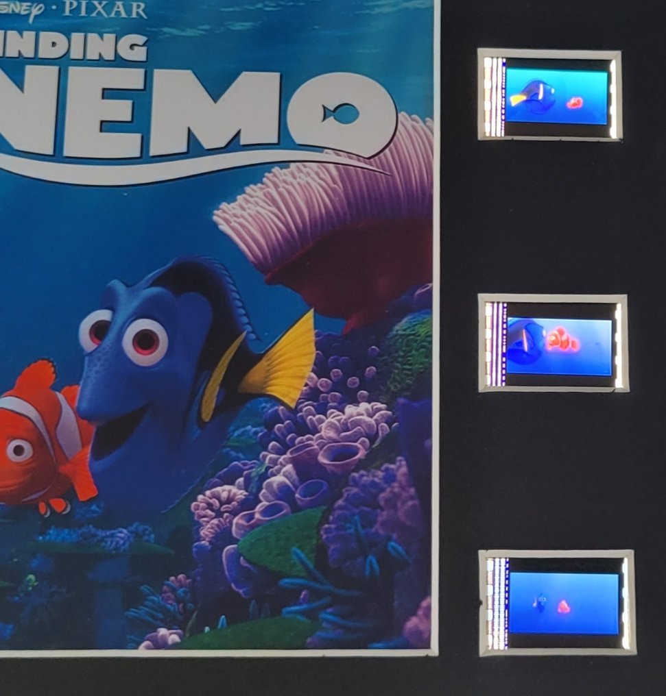 Finding Nemo - Framed Film Cell Reel Display #4.3