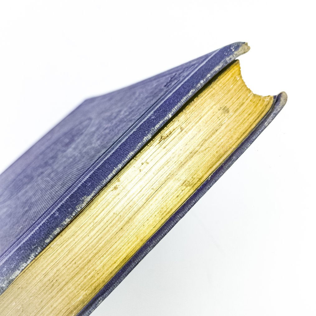 C. A. Henty; Janet-Lange; M. L. Rousseau - Les Jeunes Francs-Tireurs - 1873 #3.2