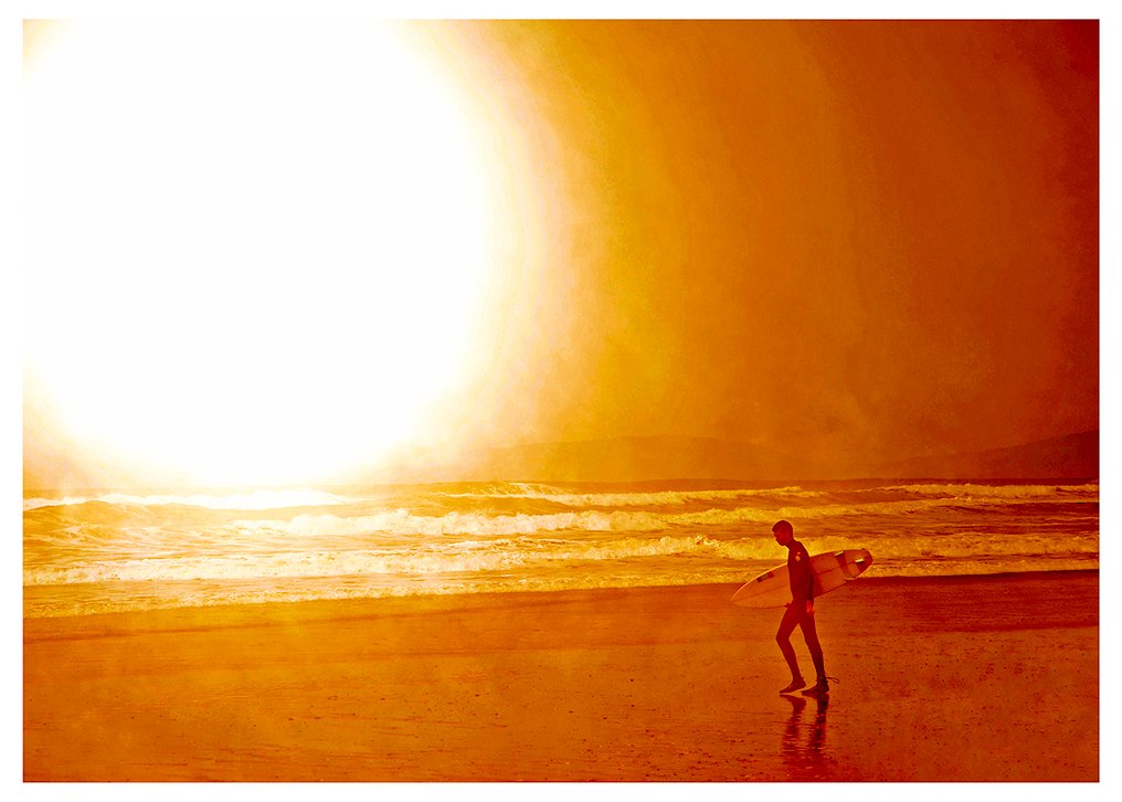 Roberto Cavalli - Into the wild / #528 #2.1