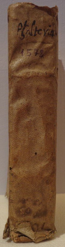 Raynerio Snoygovdano - Psalterium paraphrasibus illustratum - 1572 #3.2