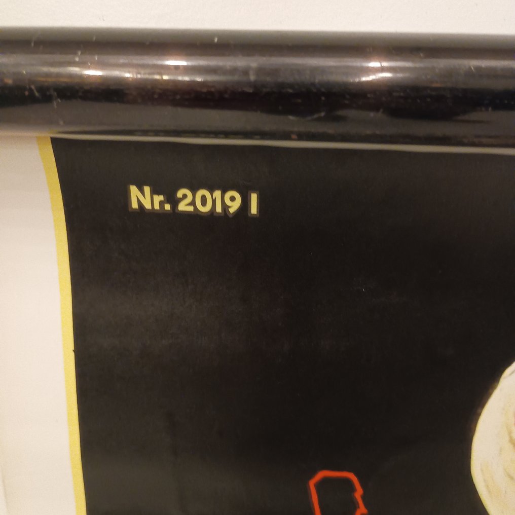 Deutsches Hygiene Museum Dresden - Anatominen seinäkartta - Koulun kartta - 2019 suolistobakteerit - Kangas #2.1