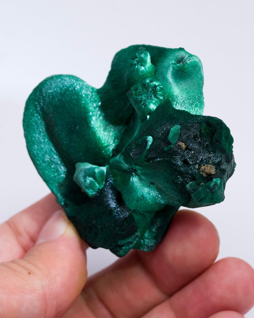 Εξαιρετικός βοτρυειδής μαλαχίτης με Chantilly - Ύψος: 5.5 cm - Πλάτος: 6.1 cm- 99 g - (1) #2.1