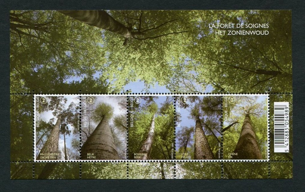 Belgio 2009 - Collezione completa di francobolli e foglietti come previsto sui fogli di album Davo. #4.3