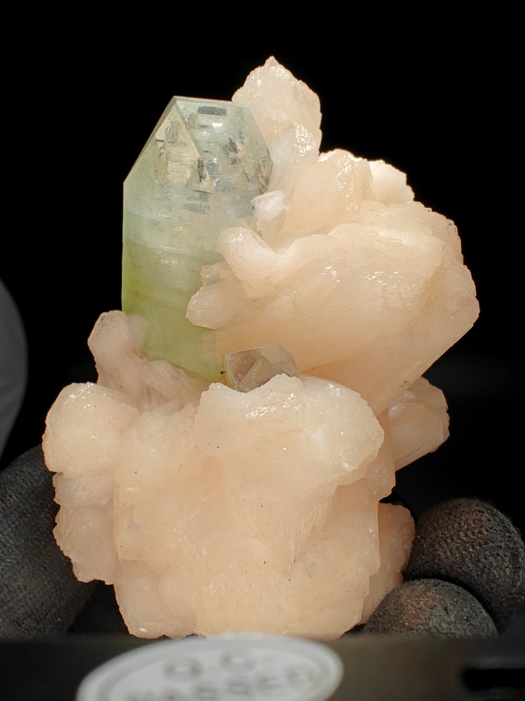 Πράσινη αφοίλιτη σε στιλμπίτη. Κρύσταλλοι στη μήτρα - Ύψος: 10 cm - Πλάτος: 9 cm- 313 g #4.3