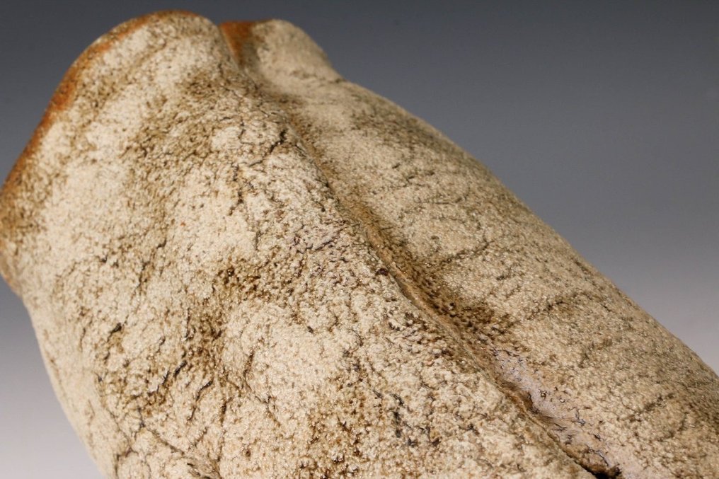 Βάζο λουλουδιών με γυαλισμένο με στάχτη φινίρισμα. - Κεραμικό - 河本五郎 Kawamoto Goro (1919-1986) - Ιαπωνία - 1900-2000 #4.3