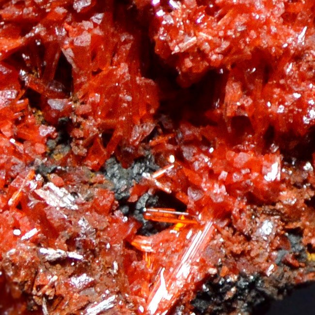 Crocoite Crystals on matrix - Height: 7 cm - Width: 5 cm- 180 g #4.3