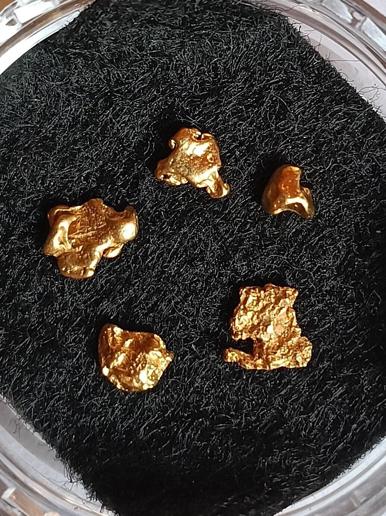 Oro Pepita- 0.52 g - (1) #3.2