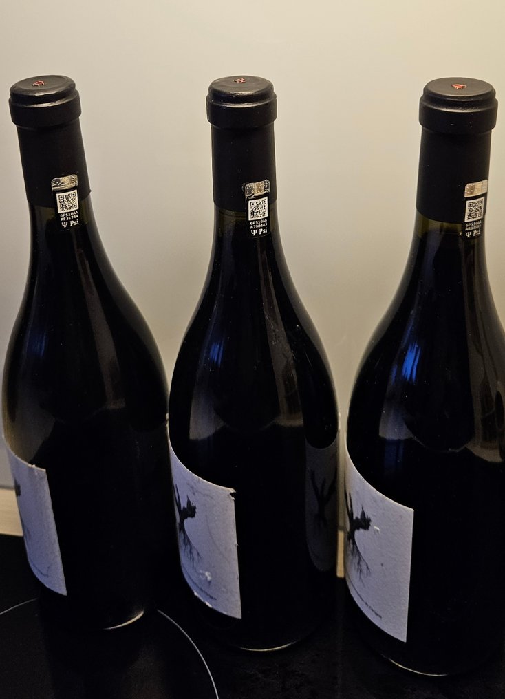 2020, 2021, 2022 Dominio de Pingus, Psi - Ρίμπερα ντελ Ντουέρο - 3 Bottles (0.75L) #1.0