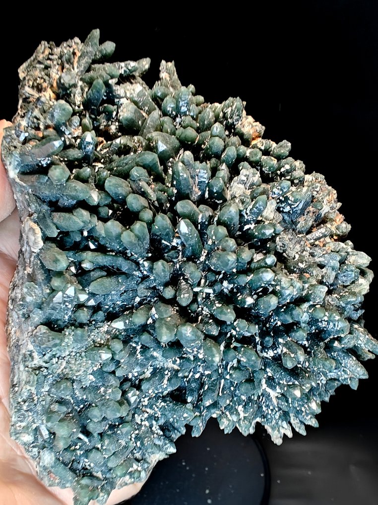 Prasio Quartz on Hedembergite Museum Sample Crystals - Height: 13 cm - Width: 10 cm- 897 g #1.0