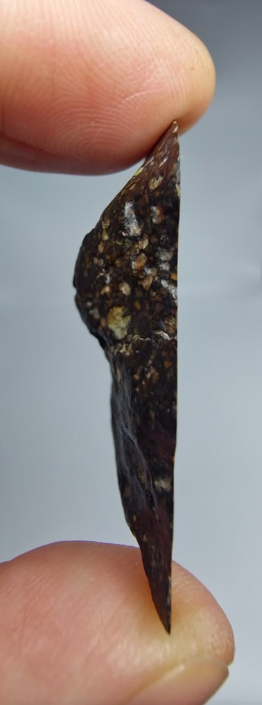 Meteorite. LL3 type. NWA 17583, Ordinary Chondrite. - 13.1 g #3.2