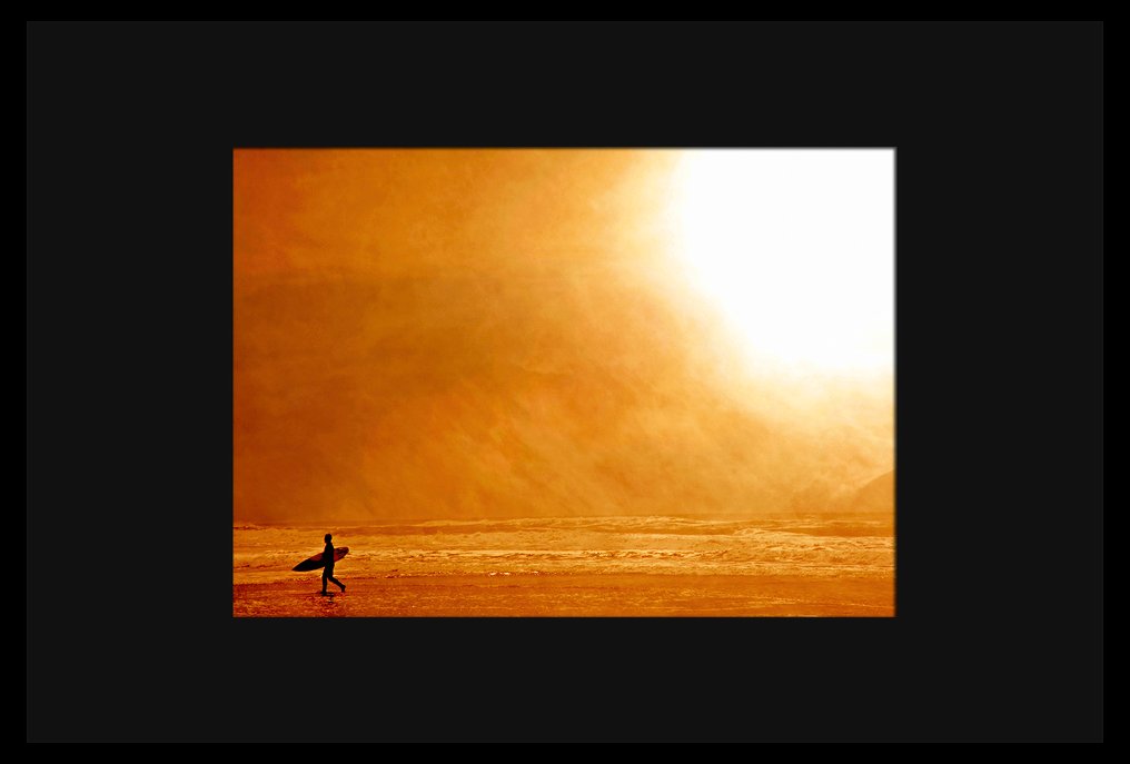 Roberto Cavalli - Into the wild / #527 #4.3