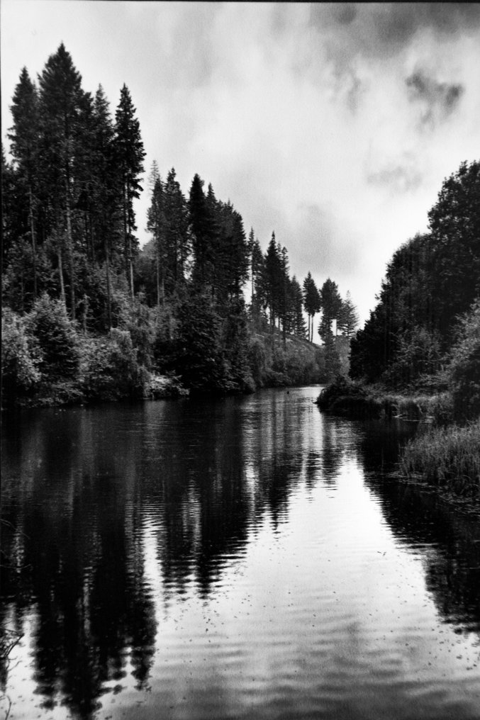 Rouzbeh Tahmassian - Haunted - No reserve price #4.3