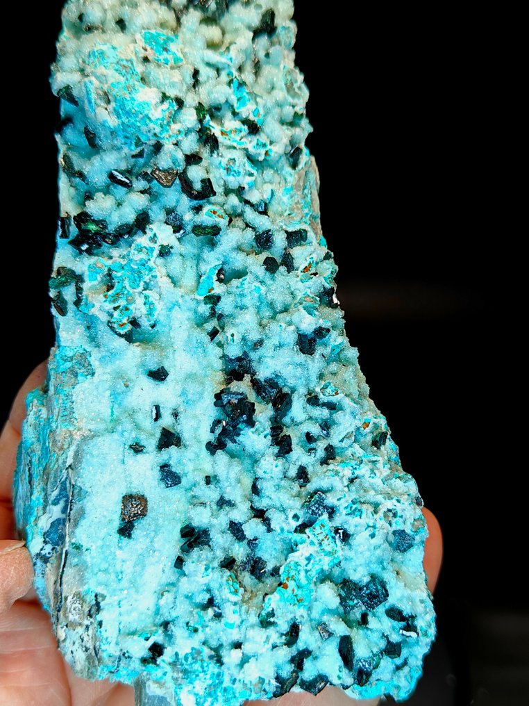 NEW FIND! Unique! Large malachite crystals on covered by druzy quartz with crisocolla. - Height: 14 cm - Width: 7 cm- 530 g #2.1
