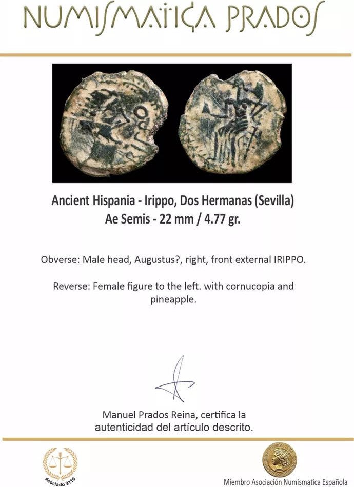 Impero Romano (provinciale). Augusto (27 a.C.-14 d.C.). Semis Irippo, Dos Hermanas (Sevilla) (Senza prezzo di riserva) #1.0