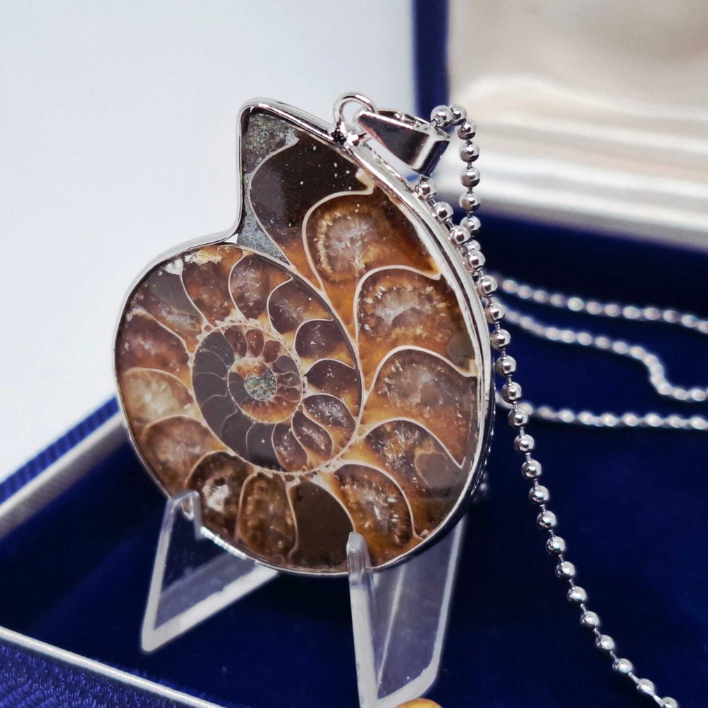 Bañado en oro - Collar con colgante - Fósil de ammonite #3.2