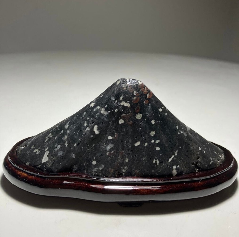 Milieu du XXe siècle (Seconde Guerre mondiale))  (Sans prix de réserve) #1.0