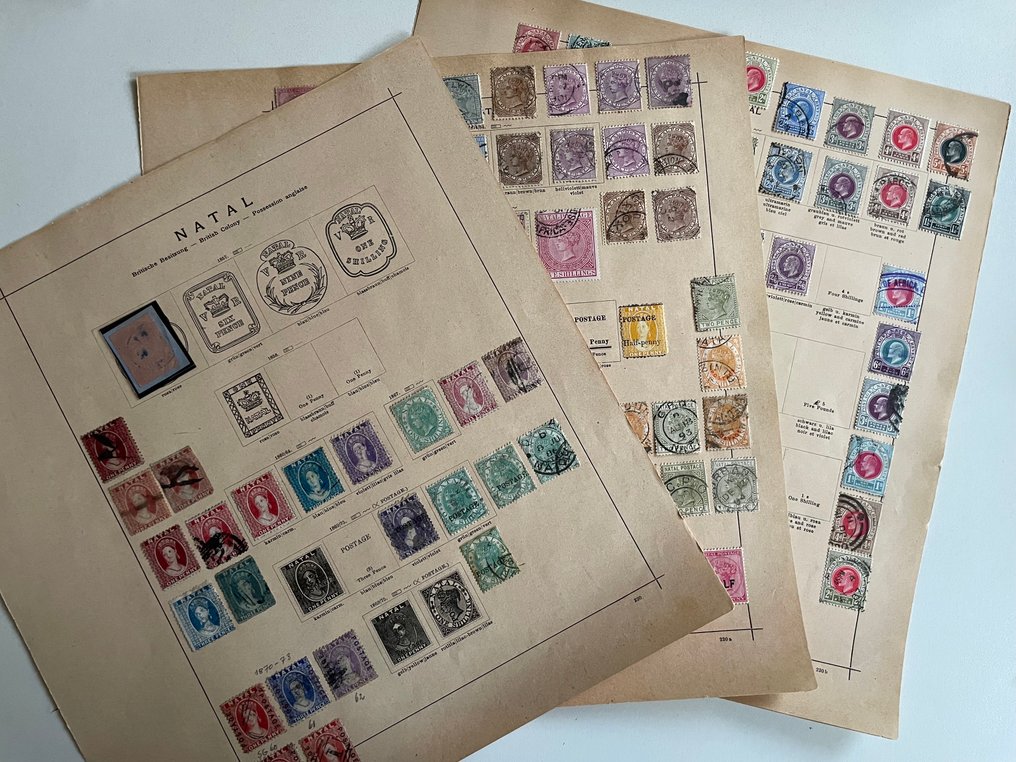 Νατάλ - Ισχυρό μέρος από παλιά συλλογή γενναίων. #1.0