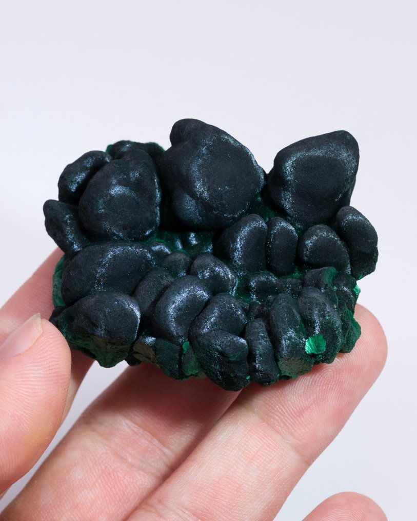 Piatto di malachite stalattitica con Chantilly - Altezza: 2.4 cm - Larghezza: 5.2 cm- 79 g - (1) #1.0