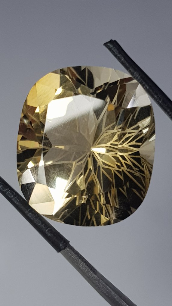 1 pcs Geel Citrien - 23.69 ct - Antwerp Laboratory for Gemstone Testing (ALGT) #1.0