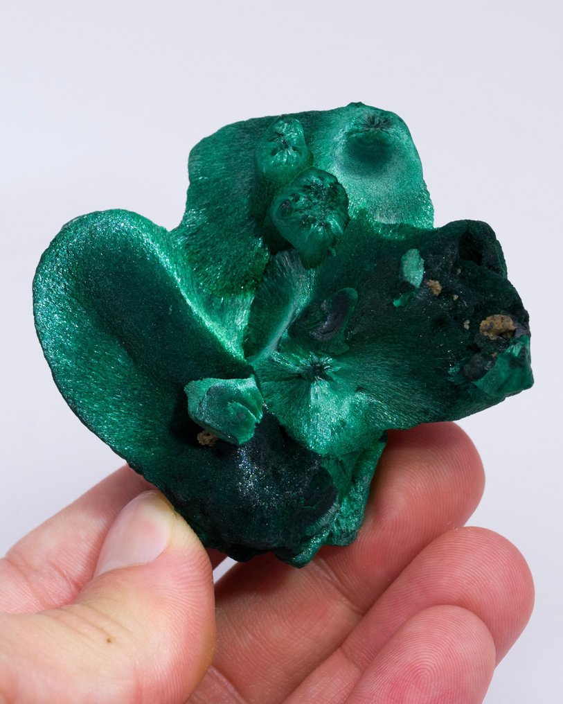 Εξαιρετικός βοτρυειδής μαλαχίτης με Chantilly - Ύψος: 5.5 cm - Πλάτος: 6.1 cm- 99 g - (1) #1.0