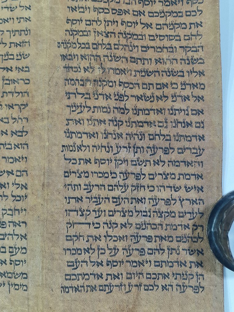 antique Torah scroll, a handwritten on leather - 1800 #3.2