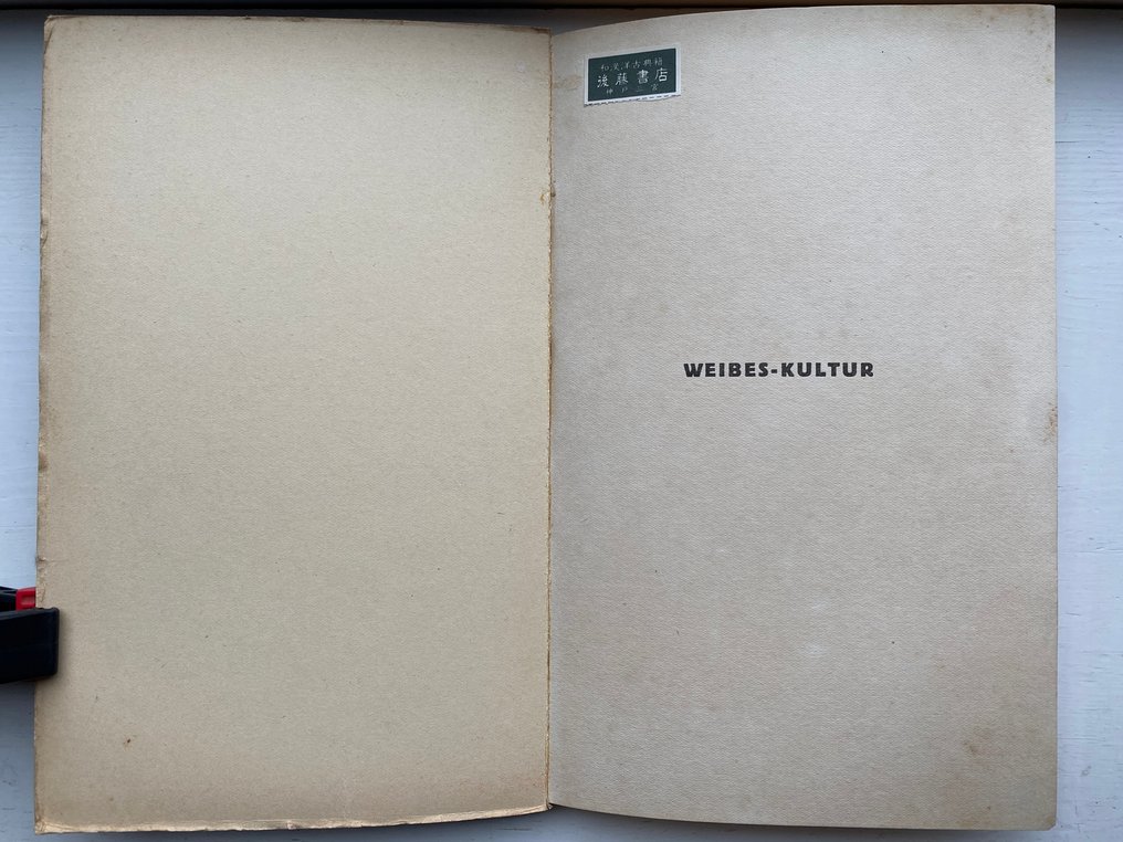 F. Bernheimer, Dr. Rudolf Salten. - Weibes Kultur - 1928 #1.0