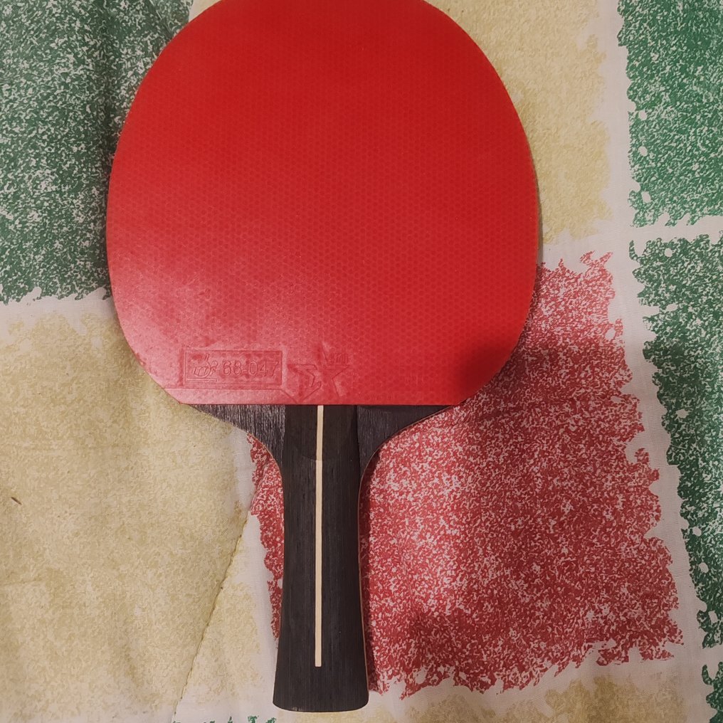 Ping pong, table tennis. - Racket #1.0