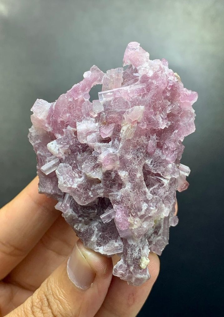 Pink Tourmaline Natural Crystals Cluster Mineral Collection - Height: 66 mm - Width: 41 mm- 92 g - (1) #3.2