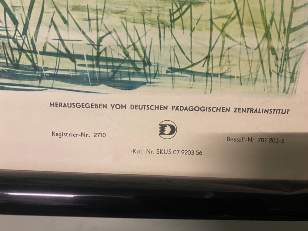 Δεινόσαυρος περίοδος του Κρητιδικού. - Σχολικός χάρτης - Δεν υπάρχει κείμενο προς μετάφραση. #2.1