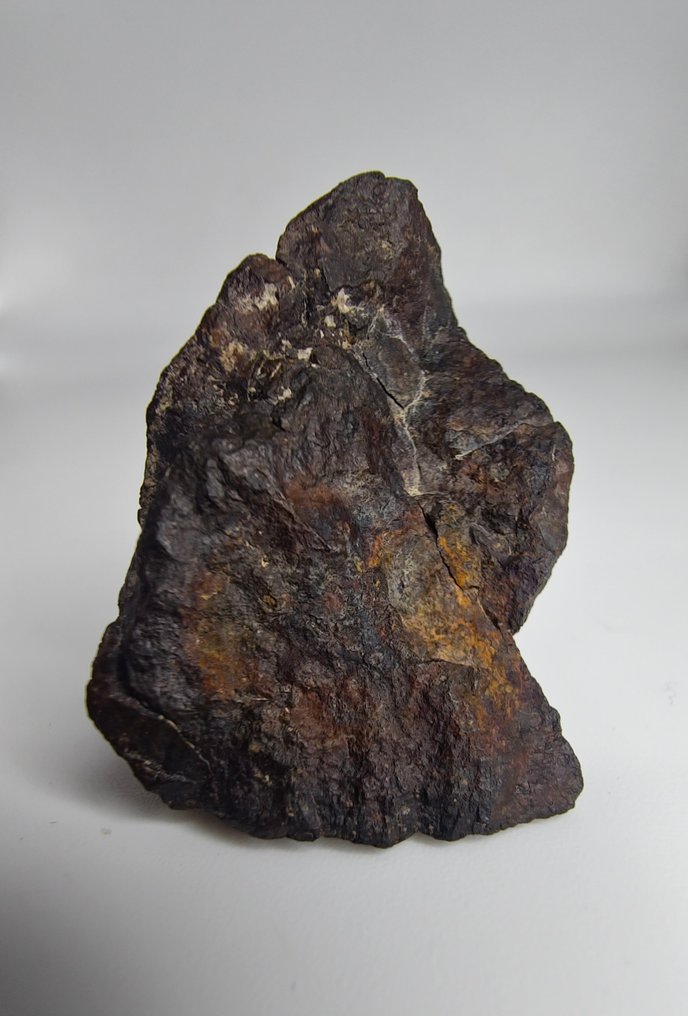 Carbonaceous meteoriet CO3, NWA 16415. Geen minimumprijs. - 46.85 g - (1) #4.3