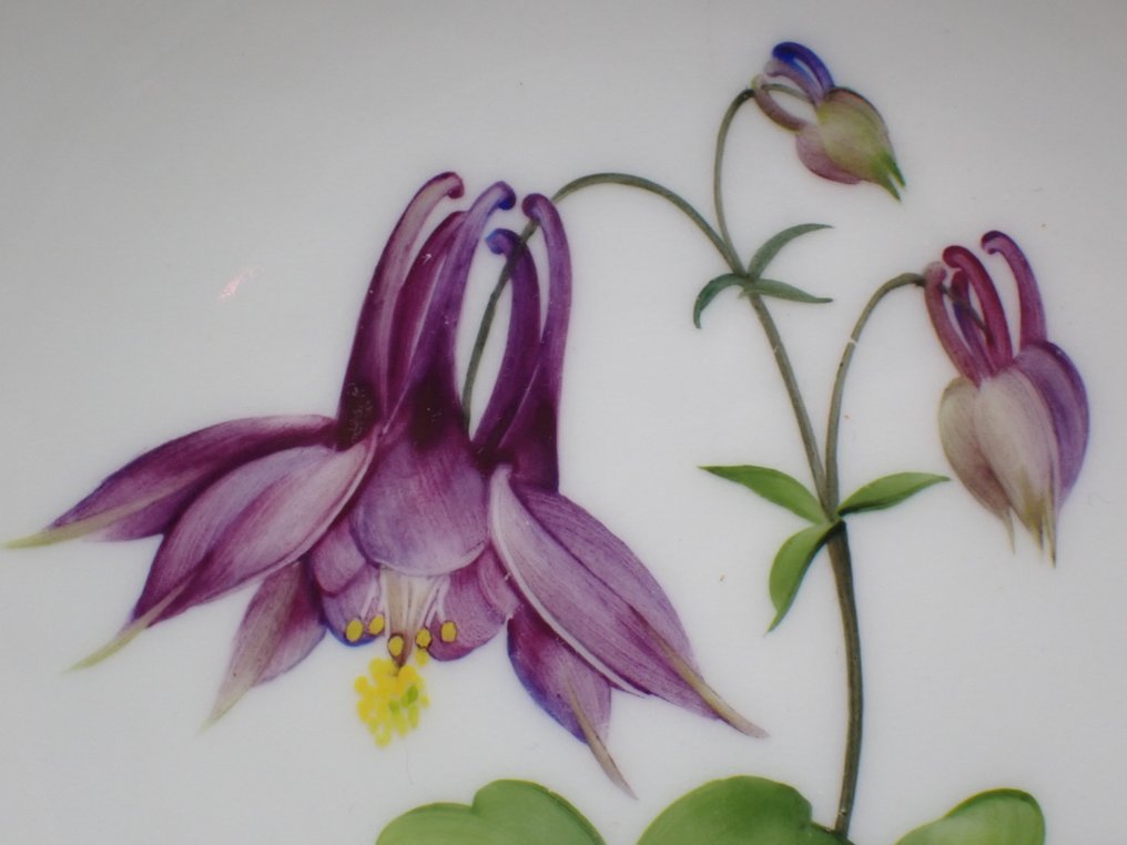 KPM - 碗 - With Columbine flower décor - 瓷 #2.1