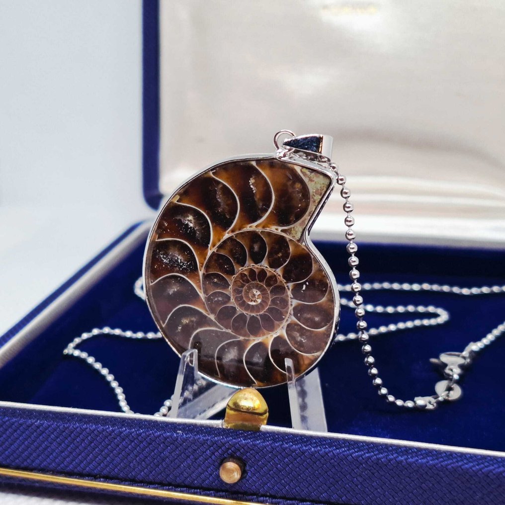 Vergoldet - Halskette mit Anhänger - Ammonitenfossil. #1.0