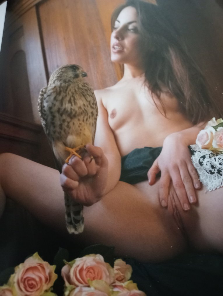 Stefan Soell - Alpenglühen - 2020-2023 #1.0