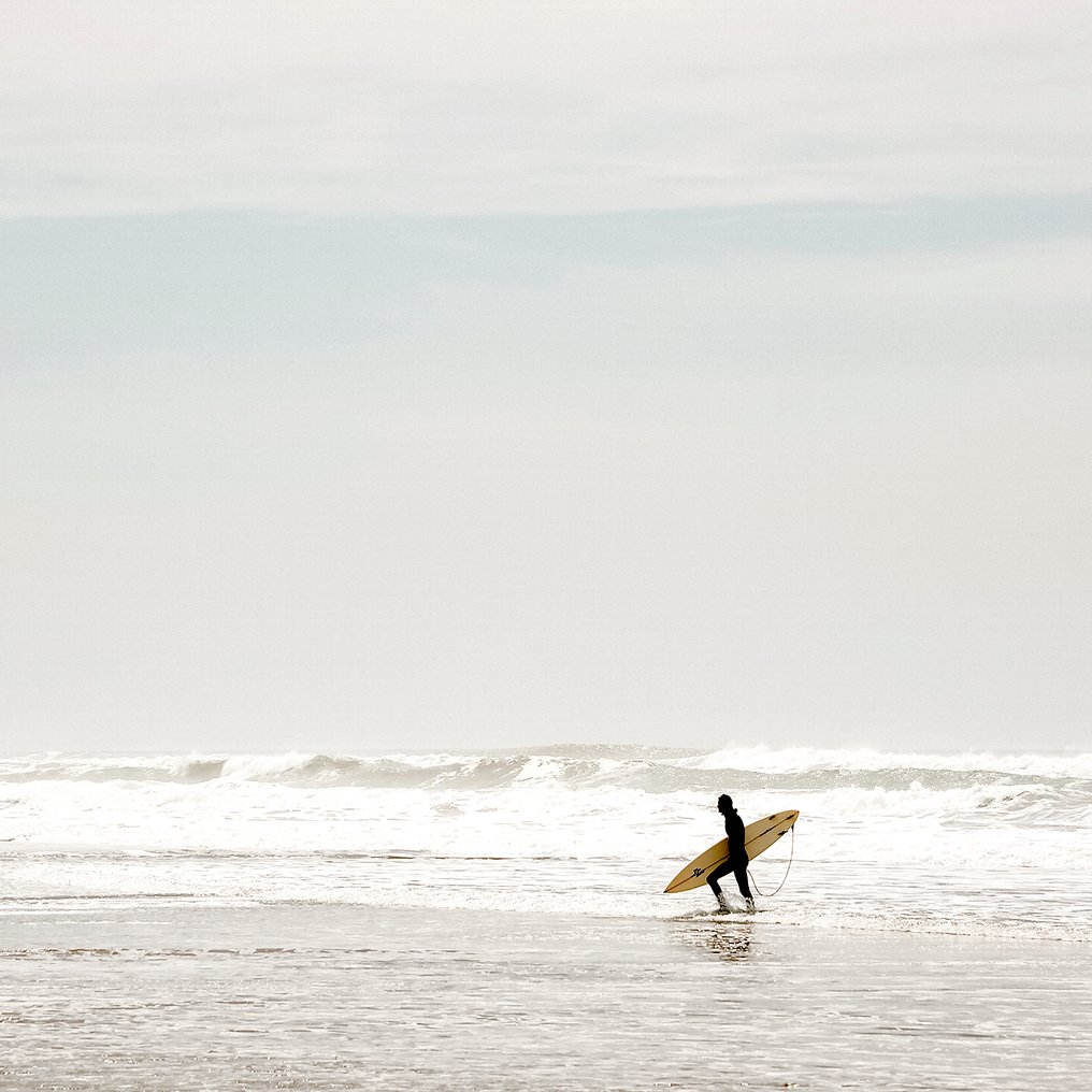 Roberto Cavalli - Into the wild / #382 #1.0