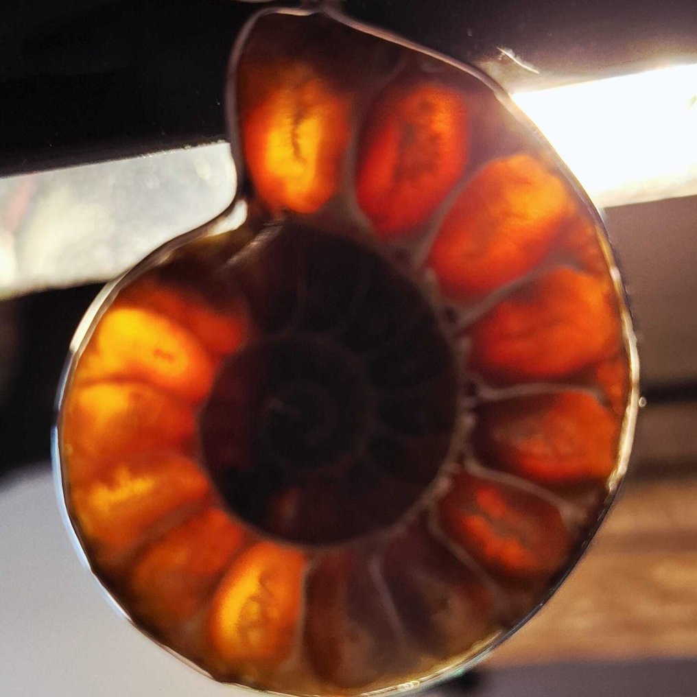 Bañado en oro - Collar con colgante - Fósil de ammonite #2.1