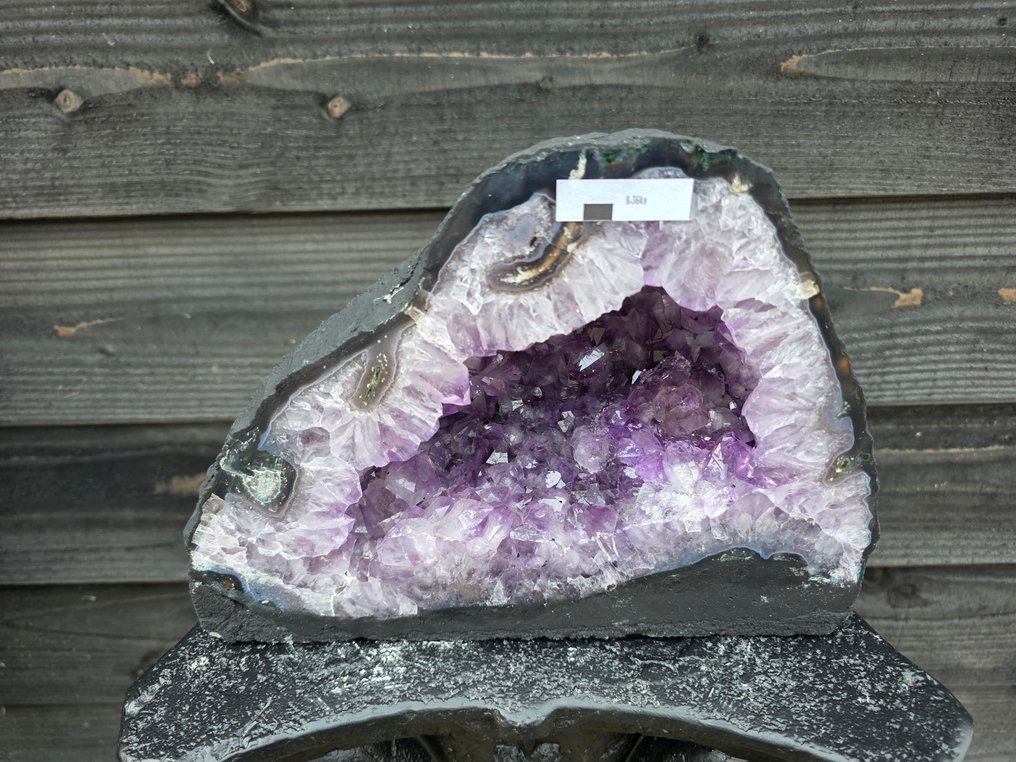 无底价 紫水晶晶簇 紫水晶 - 高度: 20.5 cm - 闊度: 27.5 cm- 8.36 kg #4.3