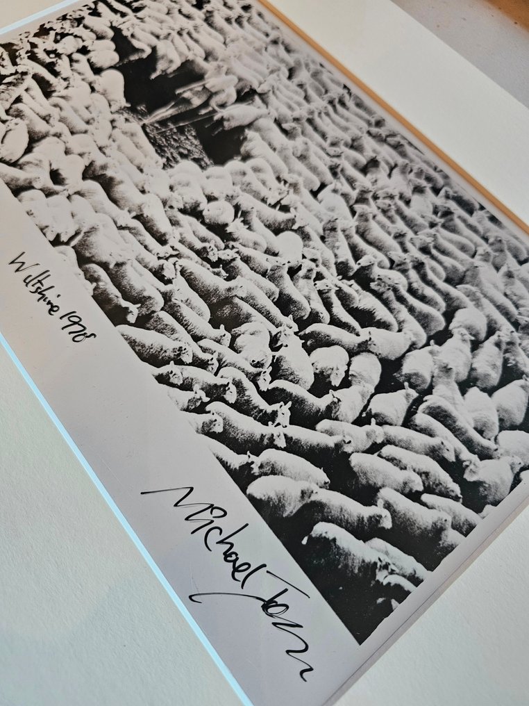 Michael Joseph (1941-) - Nude in sheep, small darkroom print by the photographer #2.1